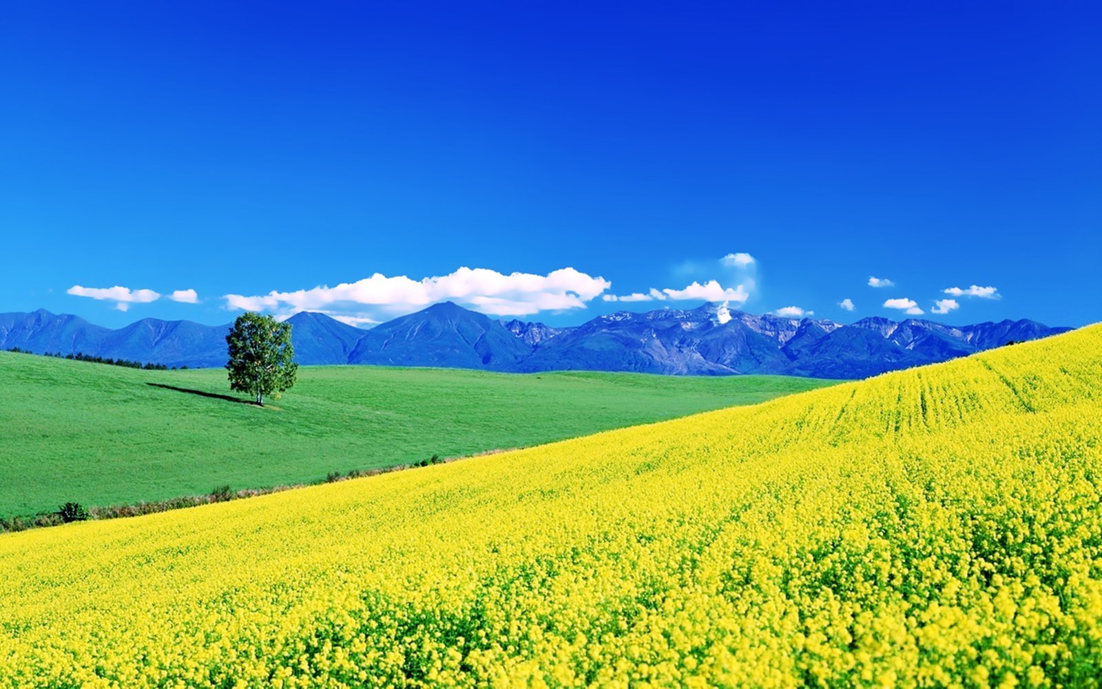 Creative Background Wallpaper Images (29)