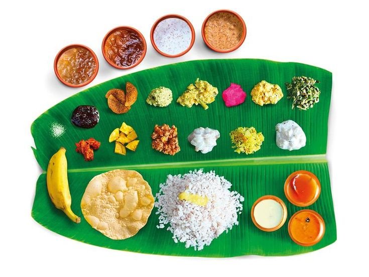Veg Meals (2)