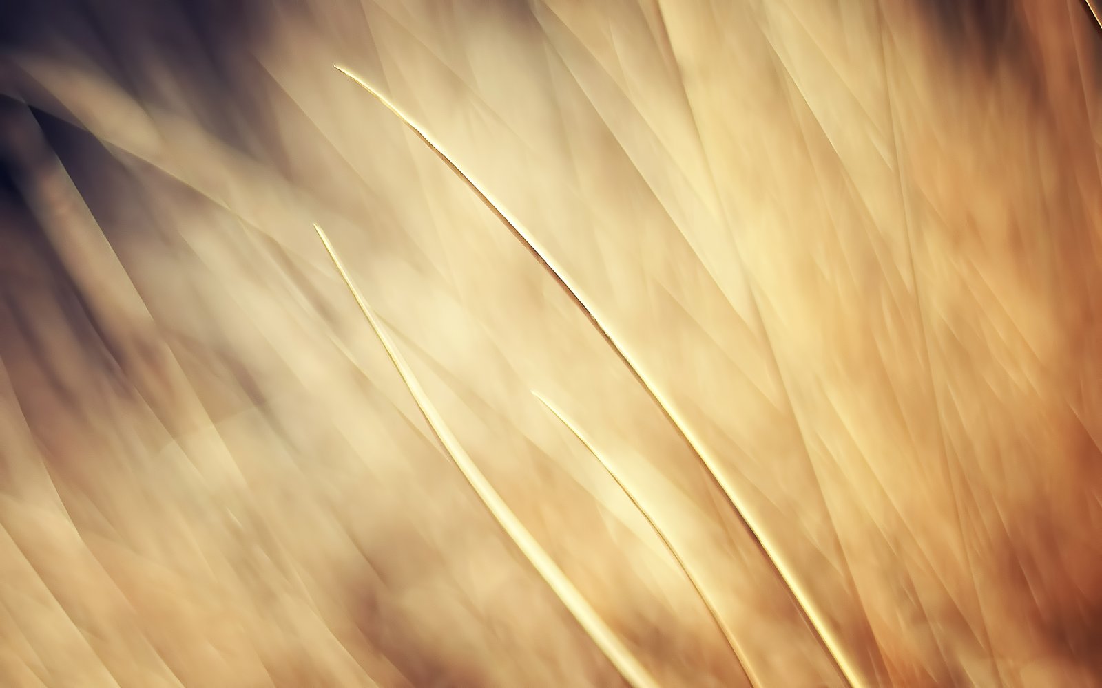 Background Images (1)