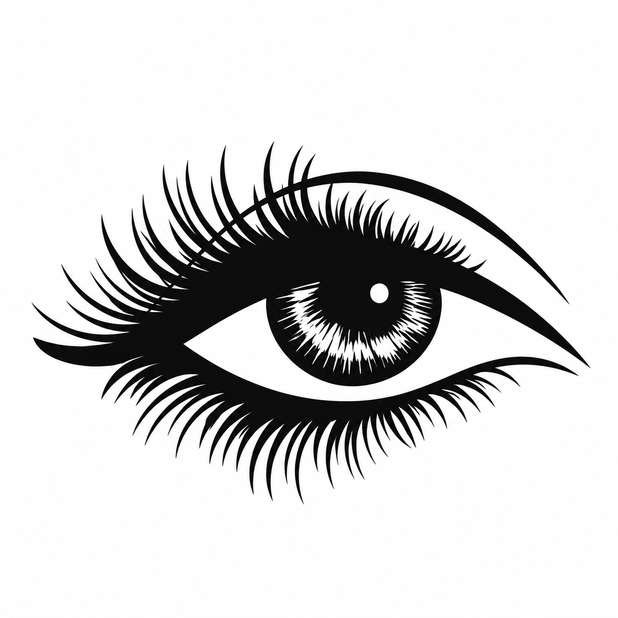 Erode Eye bank