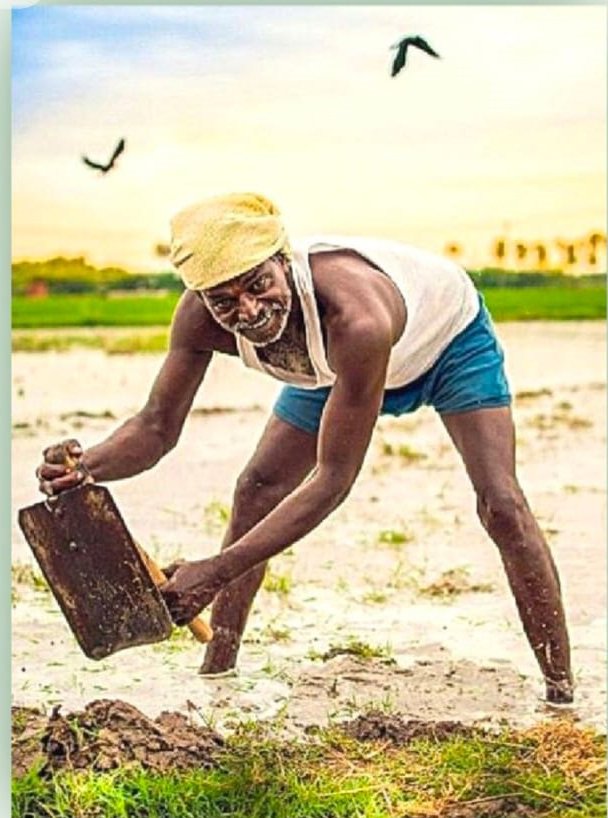 kiramathu vivasayam village vivasayam images