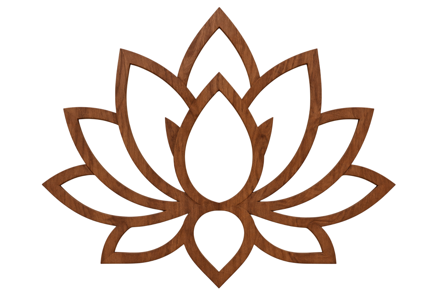lotus images out line high quality