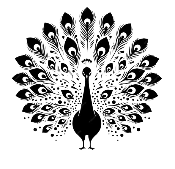 peacock  design