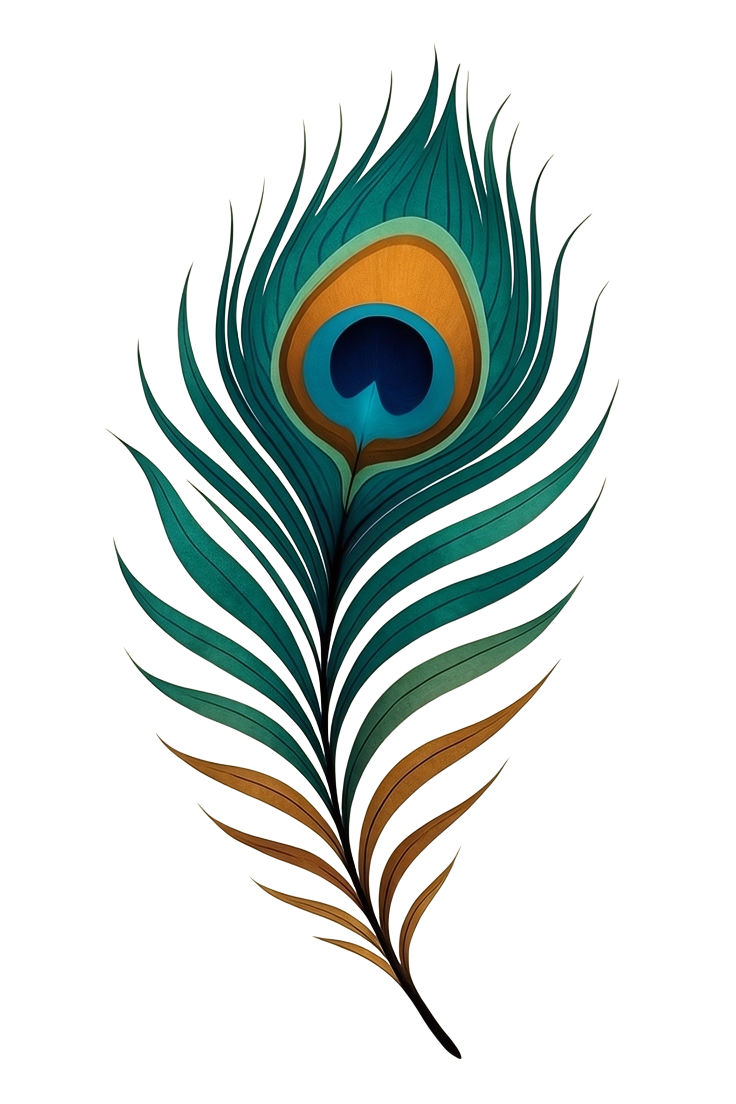 peacock feather image high quality